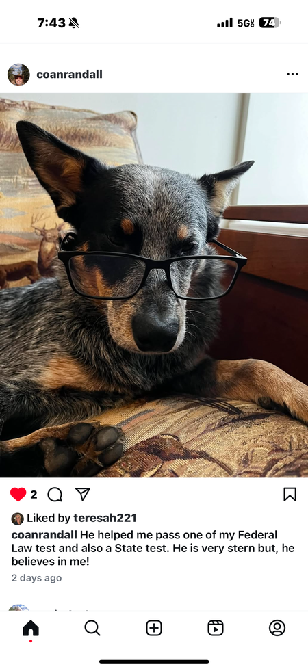 Tex
