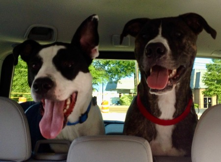 Frax (Fred and Jax)