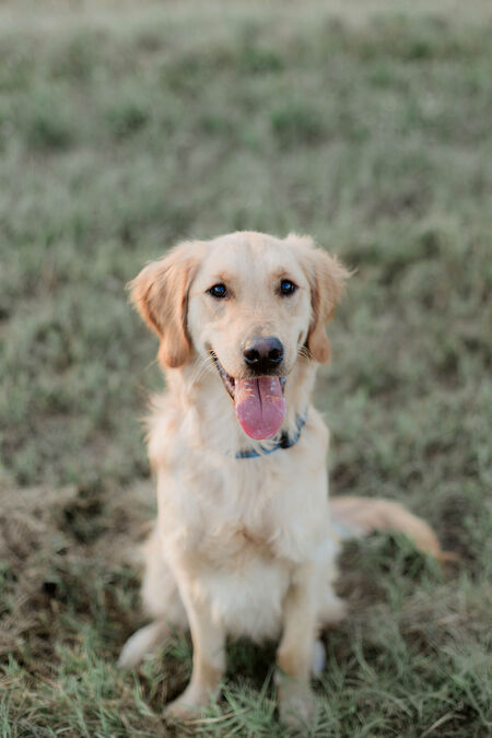 Max 