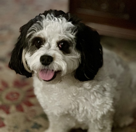 Rosie