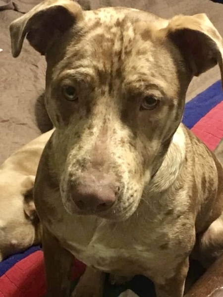 Tiberius “Tybee”
