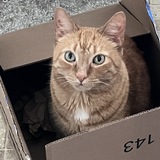Entry image for Walter