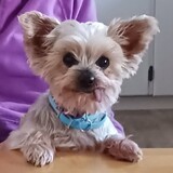 Entry image for Chloe
