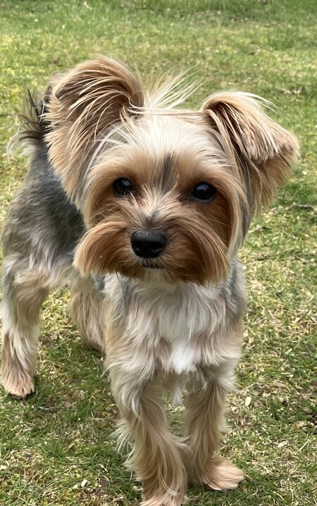 Lucy