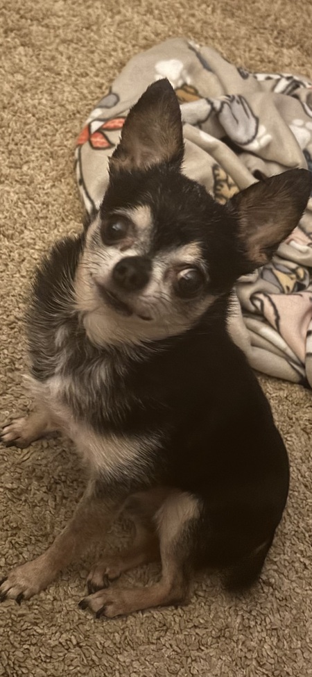LilBit