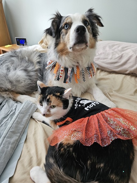 Spartan & Cali