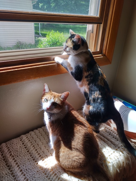 Merida & Cali