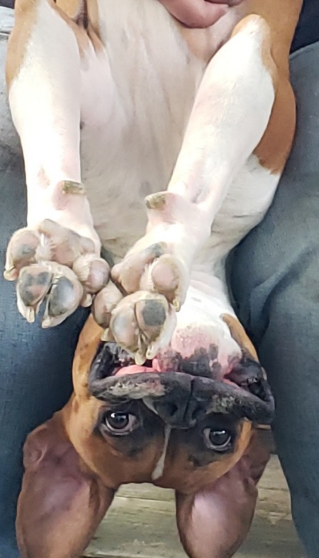 Heidi Jo