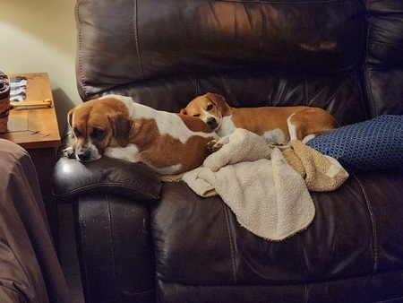 KayKay and Abby