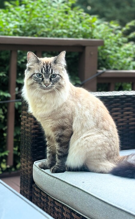 Edie
