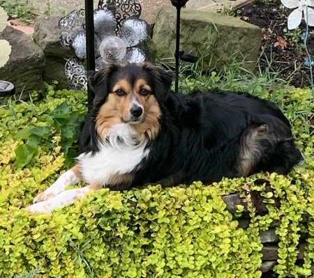 Molly