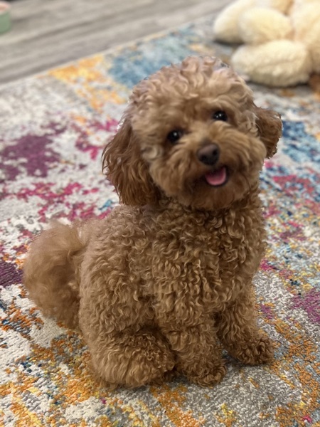 Archie