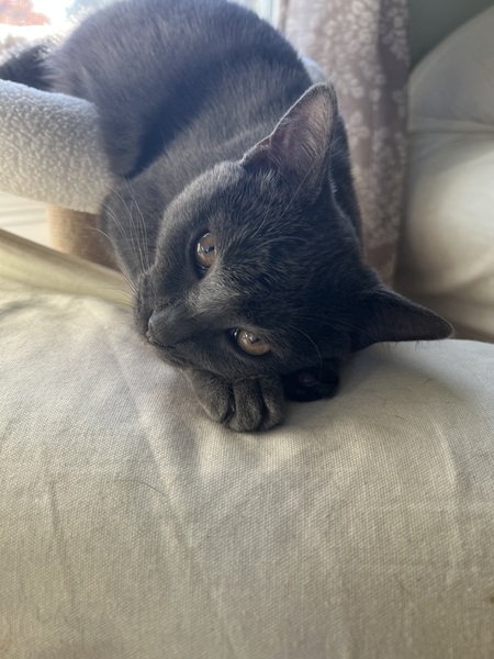 Oliver