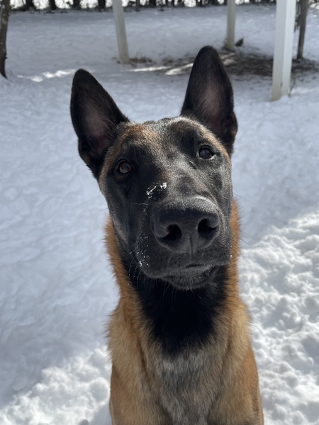 Echo