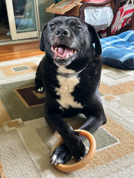 Odin