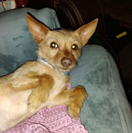 Molly