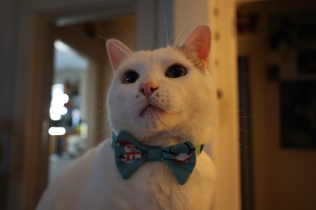 Olaf