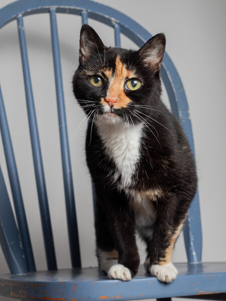 Smudge