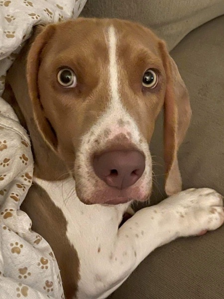 Charlie 