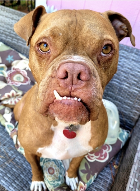 OTIS