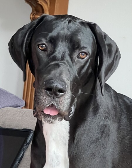 Zoey