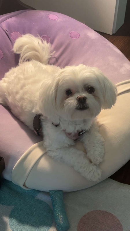 Susie  Q