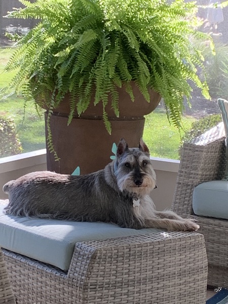 Baxter