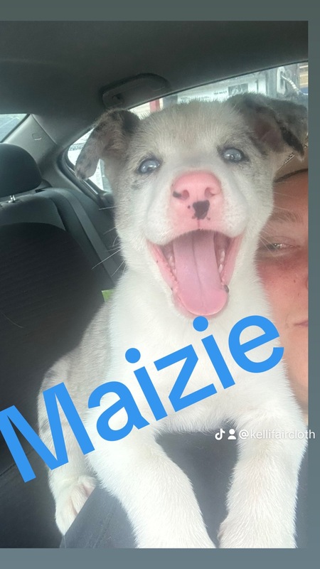 Maizie