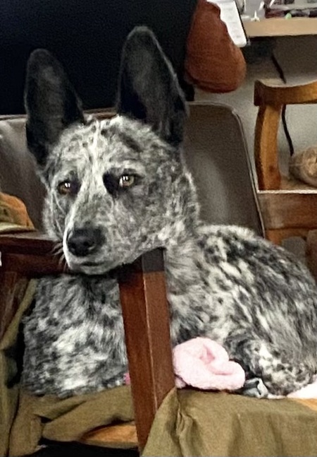 Mae Belle