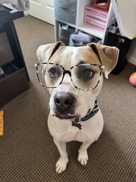 Dougie