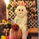 Entry image for Abby