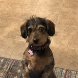 Entry image for Ellie Mae
