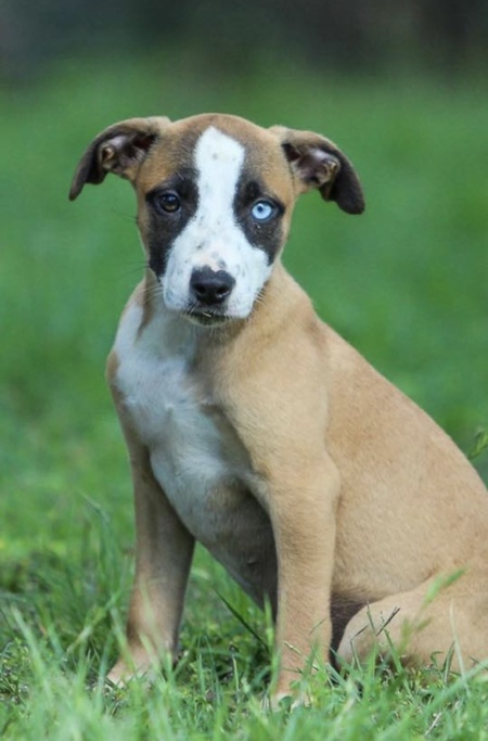 Entry image for Aubrey. Clicking this image will show a larger photo