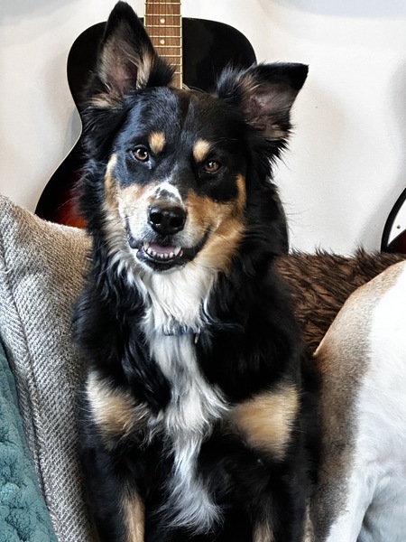 Ellie