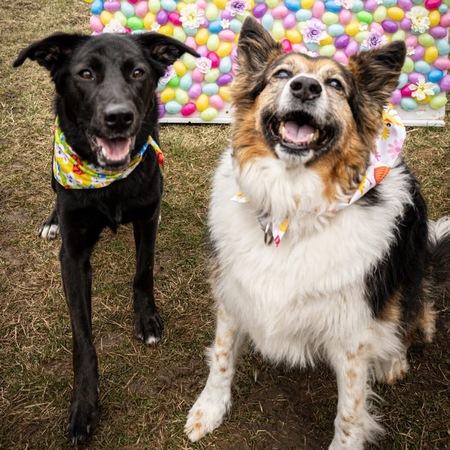 Daisy and mika 