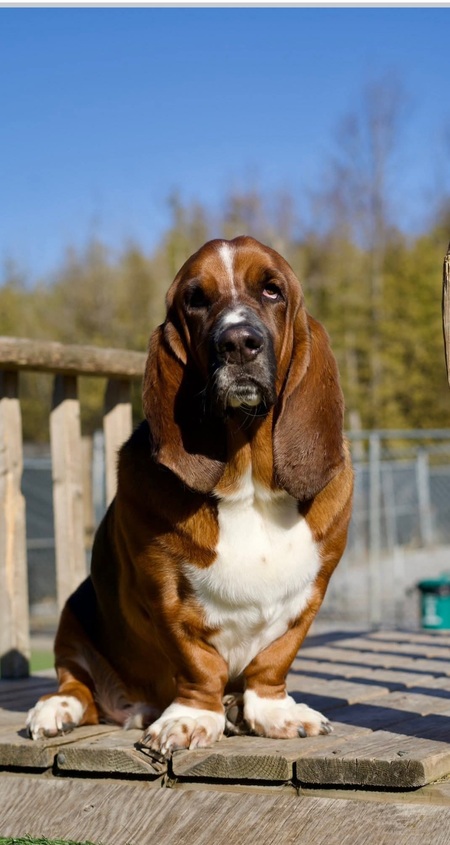 Roscoe