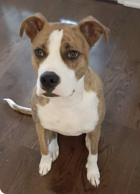 Diego 