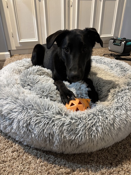 Luna