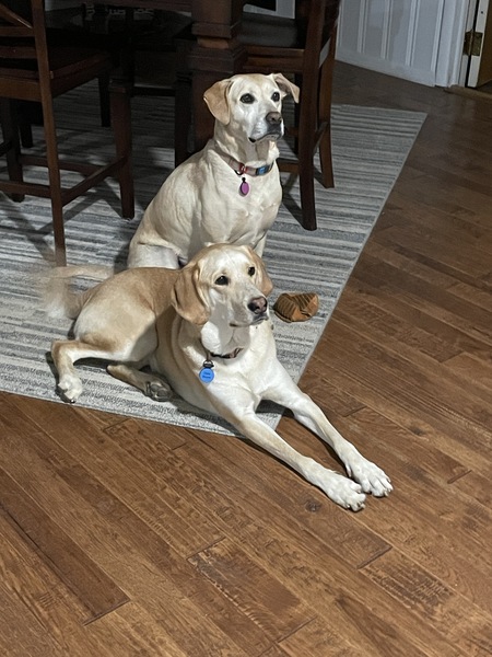 Riley & Dale Boyne 