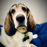 Entry image for Leroi