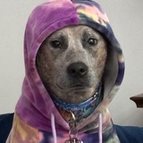 Entry image for Skye