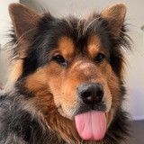 Entry image for Malakai