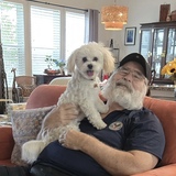 Entry image for Ringo