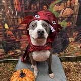 Entry image for Remi