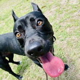 Entry image for Sophie