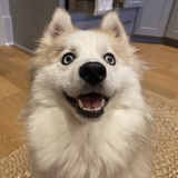 Entry image for Willow