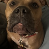 Entry image for Deebo Samuel