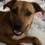 Entry image for Jessie