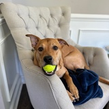 Entry image for Bagel