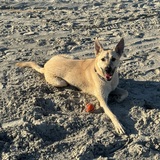 Entry image for Dudley 